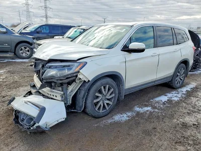 2019 HONDA PILOT EXL, фото 1, лот 10687808