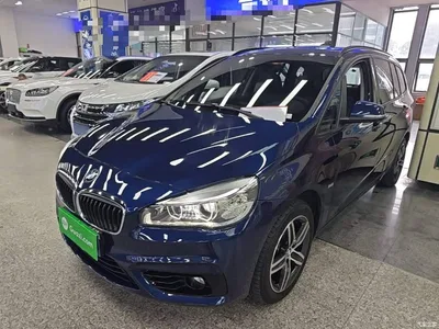 2015 BMW 2 Series Gran Tourer 218i Sport Design Package, фото 1, лот 11502060