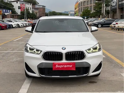 2020 BMW X2 sDrive25i Leading M Sport Package, фото 2, лот 10475545