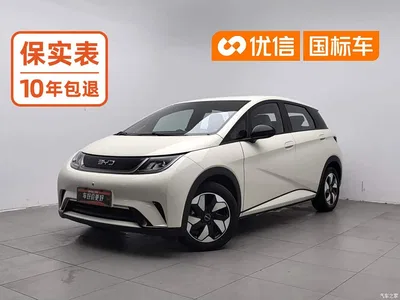 2025 BYD Dolphin 420km Freedom Edition, фото 1, лот 10450640