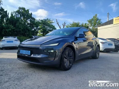 2025 Tesla Model Y Long Range AWD, фото 1, лот 10124512