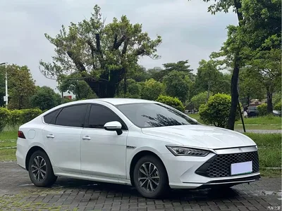 2023 BYD Qin PLUS Champion Edition DM-i 55KM Leading, фото 3, лот 10363409