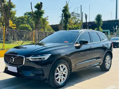 2019 Volvo XC60 T5 4WD Intelligent Ease China VI, фото 1, лот 10352397