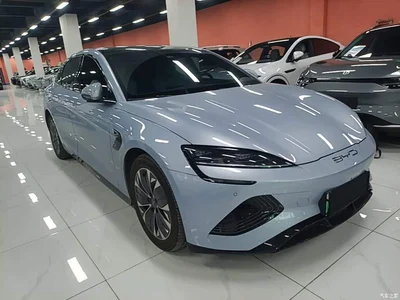 2023 BYD Seal Champion Edition 550km Premium, фото 4, лот 11450542