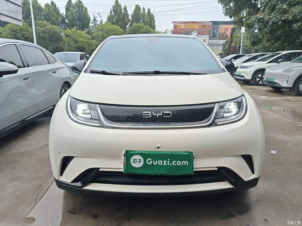 2024 BYD Dolphin Glory Edition 420km Fashion Edition, фото 3, лот 11179594