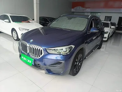 2020 BMW X1 sDrive20Li Fashion Model, фото 2, лот 10467276