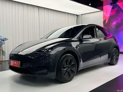 2024 Tesla Model Y Rear-Wheel Drive Version, фото 1, лот 10448364
