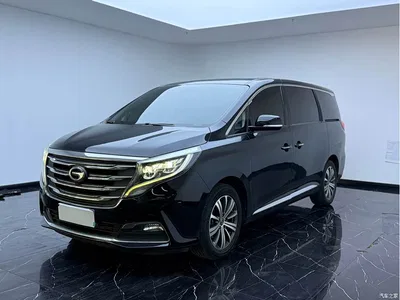 2018 GAC Trumpchi Trumpchi M8 320T Premium Edition, фото 1, лот 10415449