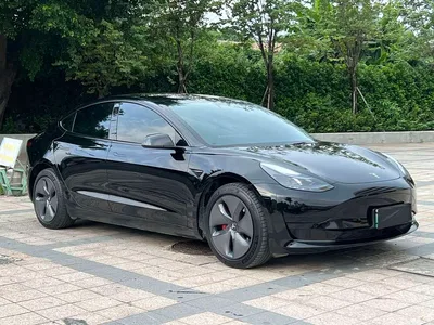 2023 Tesla Model 3 Rear-Wheel Drive, фото 2, лот 10366525