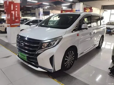 2021 GAC Trumpchi Trumpchi M8 Leading Show Series 390T Ultimate Edition, фото 1, лот 10999552