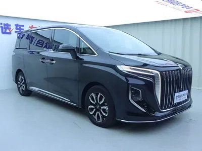 2023 Hongqi HQ9 2.0T Smart Connect Flagship, фото 2, лот 10287347