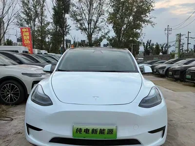 2024 Tesla Model Y Rear-Wheel Drive Version, фото 1, лот 11220336