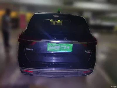 2019 Hongqi HS5 2.0T Smart Connect Enjoy Edition, фото 3, лот 10288247