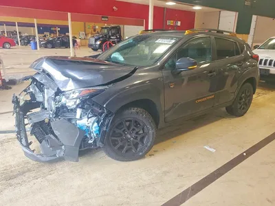 2025 SUBARU CROSSTREK WILDERNESS, фото 1, лот 10565324