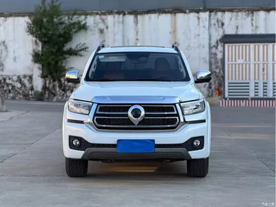 2023 Great Wall Pao 2.0T Passenger Auto Diesel 4WD Premium GW4D20M, фото 2, лот 10448229