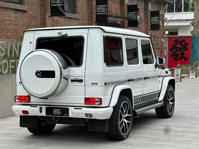 2016 Mercedes-Benz G-Class AMG Model AMG G 63 Edition 463, фото 4, лот 10306861