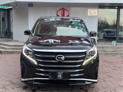 2021 GAC Trumpchi Trumpchi M8 Leading Show Series 390T Prestige Edition, фото 2, лот 10405579