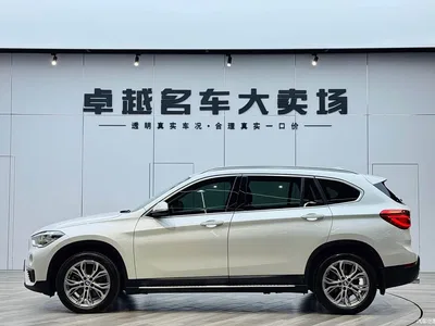 2019 BMW X1 sDrive20Li Leading Model, фото 4, лот 10424320