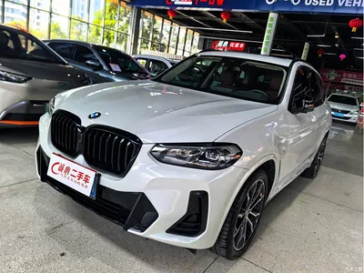 2023 BMW X3 xDrive30i Leading M Night Package, фото 1, лот 10461637