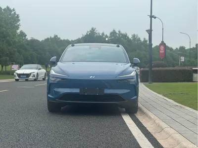 2024 Ledao L60 60kWh AWD Version, фото 2, лот 10826655
