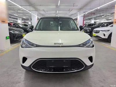 2022 smart Elf #1 Pulse Heartbeat Edition, фото 3, лот 10343787