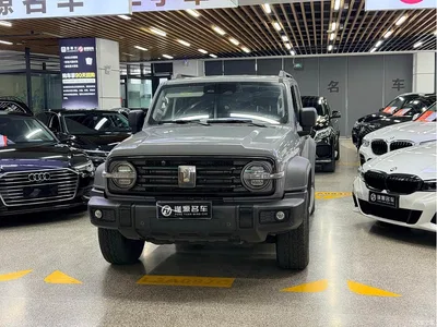 2021 Tank 300 Off-road Version 2.0T Conqueror, фото 1, лот 10344076