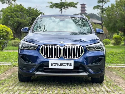 2020 BMW X1 sDrive25Li Leading Model, фото 2, лот 10464991