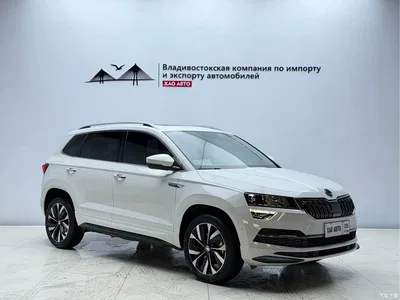 2023 Škoda Karoq TSI280 Smart Edition, фото 3, лот 10349177