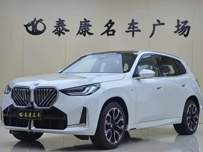 2025 BMW X3 xDrive30L Leading M Sport Package, фото 1, лот 10460840