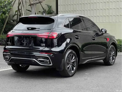 2023 Hongqi HS5 2.0T Flag Enjoy Pro Edition, фото 4, лот 10287484