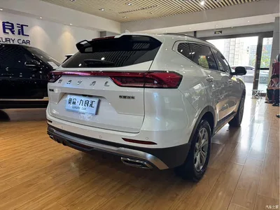 2021 Haval H6 Model National Trend Edition 1.5T Auto Champion, фото 4, лот 10296077