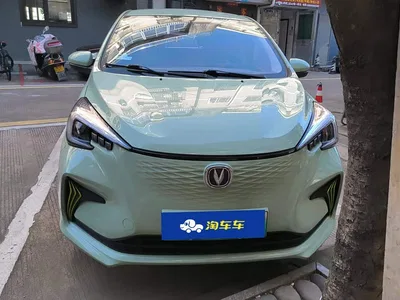 2022 Changan Benben E-Star Appreciation Edition Colorful LFP, фото 2, лот 11571595
