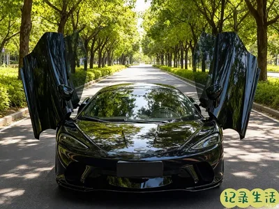 2019 McLaren GT 4.0T Standard, фото 2, лот 10321804