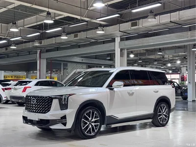 2024 GAC Trumpchi Trumpchi GS8 Navigator Series 2.0TGDI 2WD Luxury Smart Connect Edition, фото 1, лот 11212819