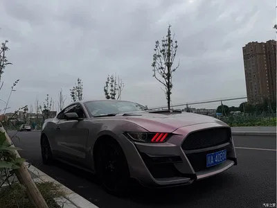 2016 Ford Mustang 2.3T Performance Edition, фото 4, лот 10280037