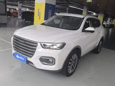 2020 Haval H6 1.5GDIT Automatic Platinum Champion Edition, фото 1, лот 11204806