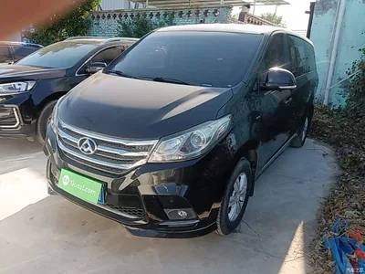 2018 SAIC Maxus Maxus G10 PLUS 2.0T Automatic Elite Edition, фото 1, лот 11159245