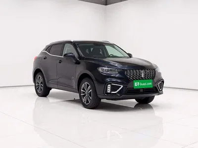 2021 WEY VV5 1.5T 2WD Smart Pioneer, фото 4, лот 10452467