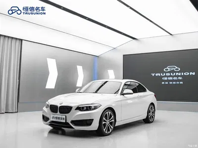 2019 BMW 2 Series (Import) 225i Sport Design Package, фото 2, лот 10605745