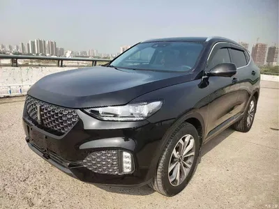 2020 WEY VV6 2.0T 2WD Smart Protection+, фото 1, лот 10451949