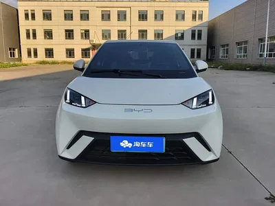 2023 BYD Seagull Flying Edition, фото 3, лот 10301655