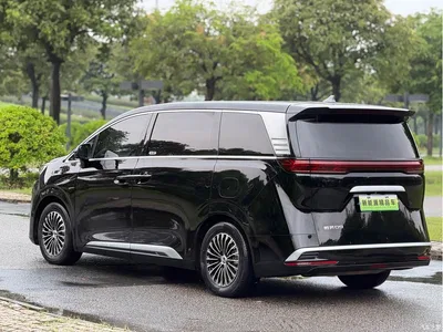 2024 Denza D9 DM-i 1050 Premium, фото 4, лот 10345823