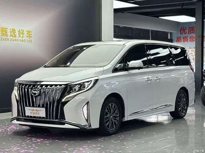 2021 GAC Trumpchi Trumpchi M8 Leading Show Series 390T Luxury Edition, фото 1, лот 11227831