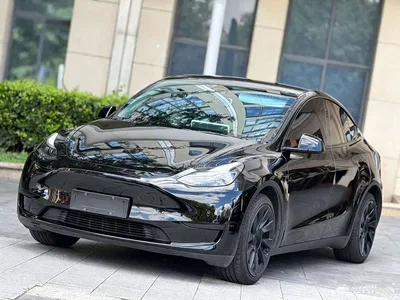 2022 Tesla Model Y Rear-Wheel Drive Version, фото 1, лот 10449971
