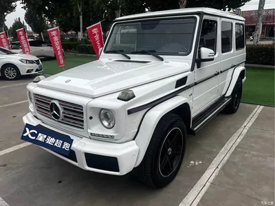 2017 Mercedes-Benz G-Class G 500, фото 1, лот 10768477