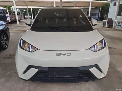 2024 BYD Seagull Glory Edition 305km Vitality Edition, фото 3, лот 10260367