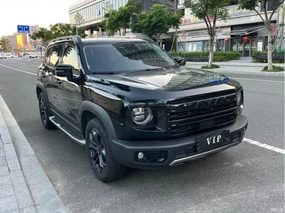 2024 Haval Big Dog 1.5T DCT Border Collie Edition, фото 3, лот 11569967