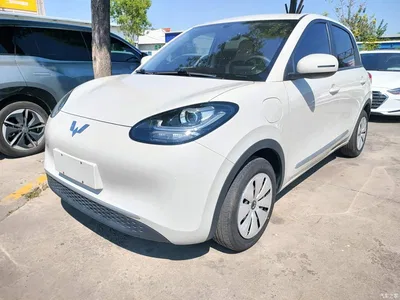 2024 Wuling Motors Wuling Bingo 203km Lite Edition, фото 2, лот 10368624