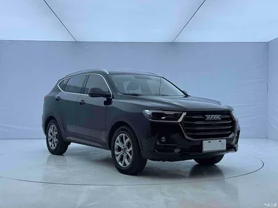 2021 Haval H6 Model National Trend Edition 1.5T Auto Champion, фото 3, лот 11409275