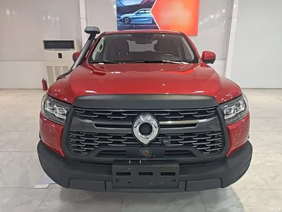 2020 Great Wall Pao 2.0T Off-road Automatic Diesel 4WD Advanced Edition GW4D20M, фото 3, лот 10246305